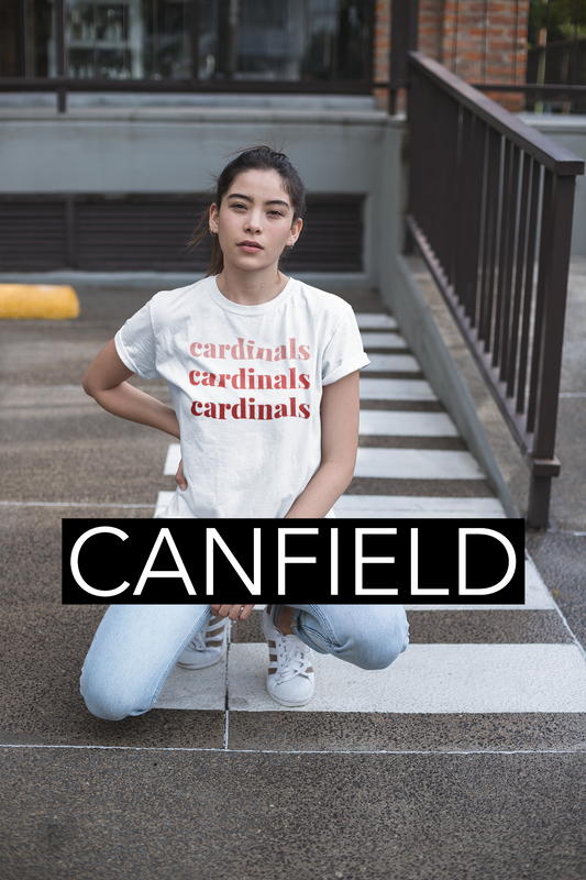 Canfield Cardinals Ombre Unisex Tee - Adult and Youth Sizes!